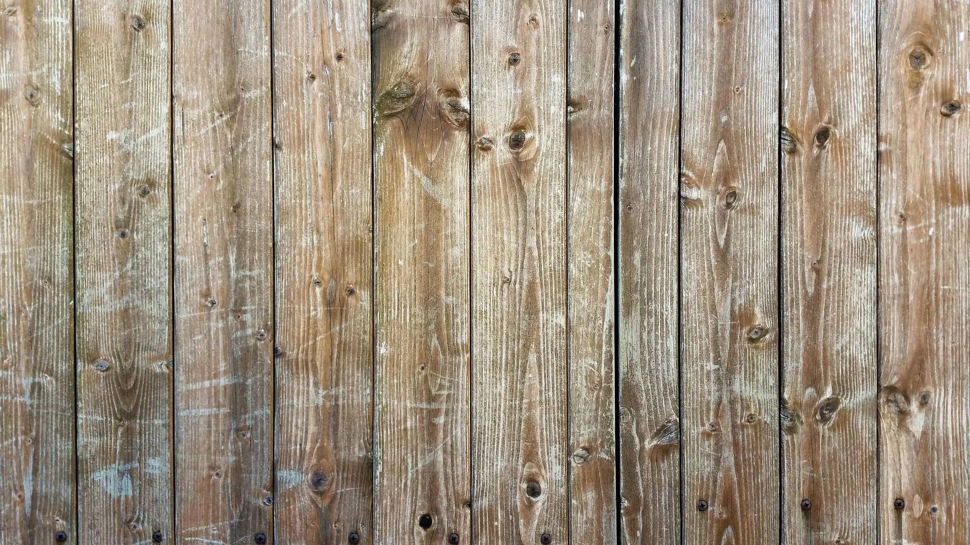 How to Clean Your Wooden Fence — XL Fencing