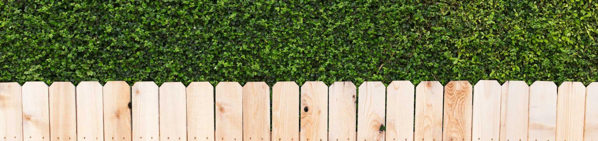 Four Types Of Fences That Enhance And Protect Your Property — XL Fencing