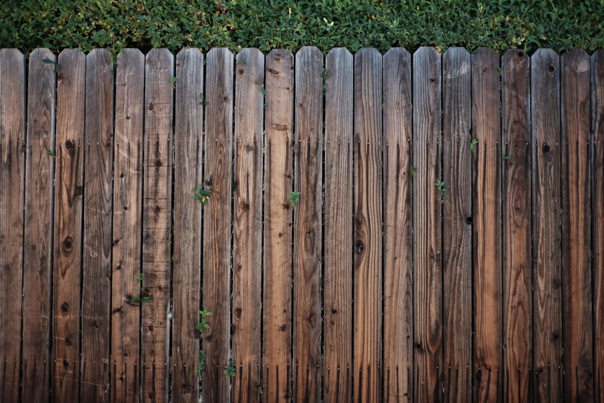 Give Your Home A Makeover In 2020 With A New Fence — XL Fencing