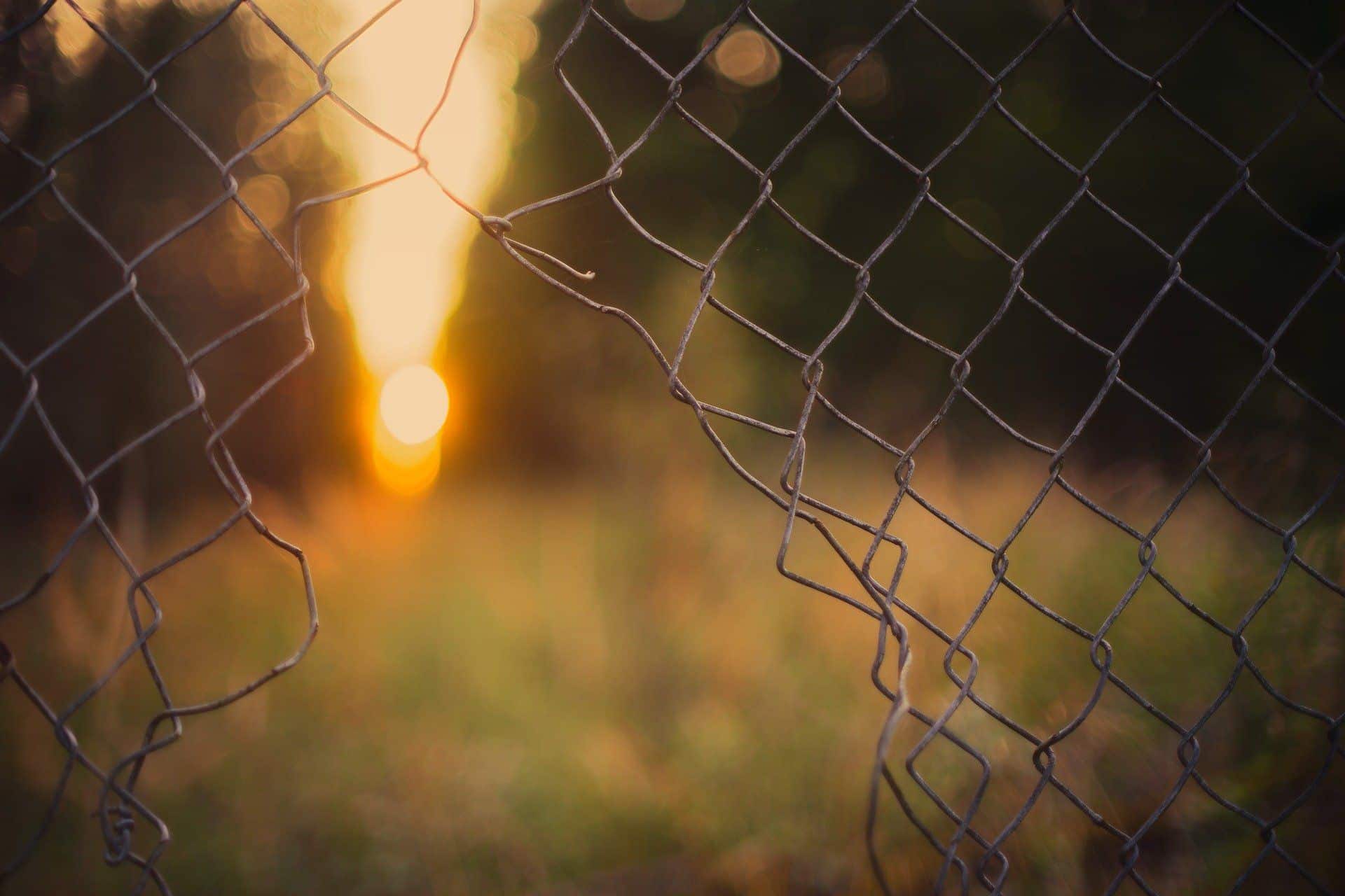 Signs of Fence Damage — XL Fencing