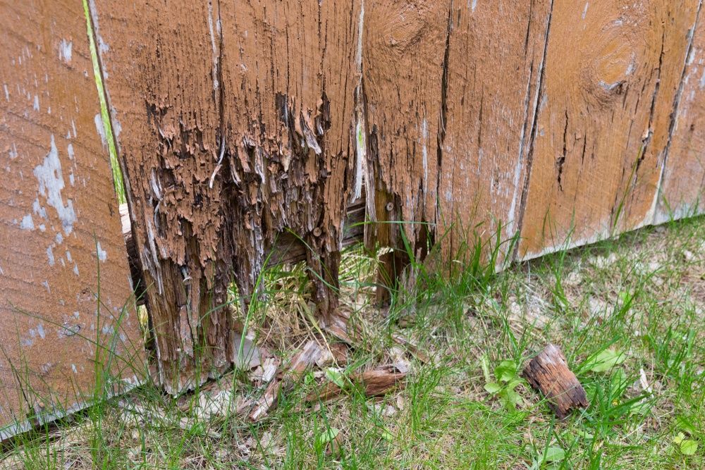 When Is It Time To Replace My Wood Fence? — XL Fencing