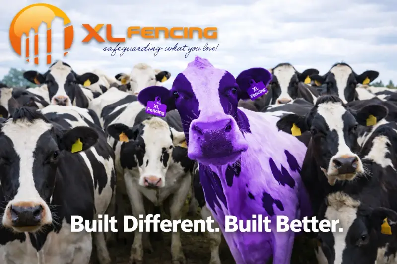XL Fencing — a remarkably different fence company in South Florida