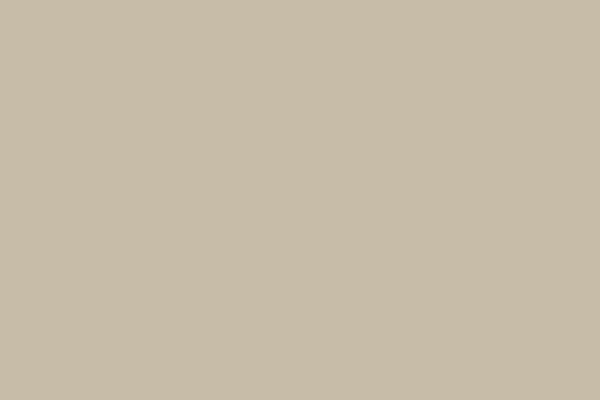 Tan vinyl fence color swatch